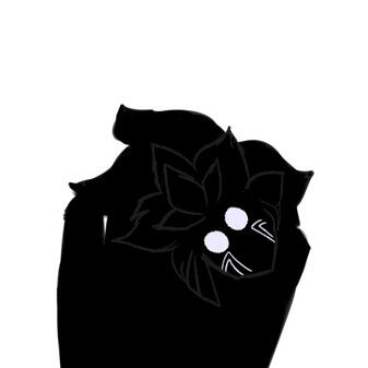 Animation
